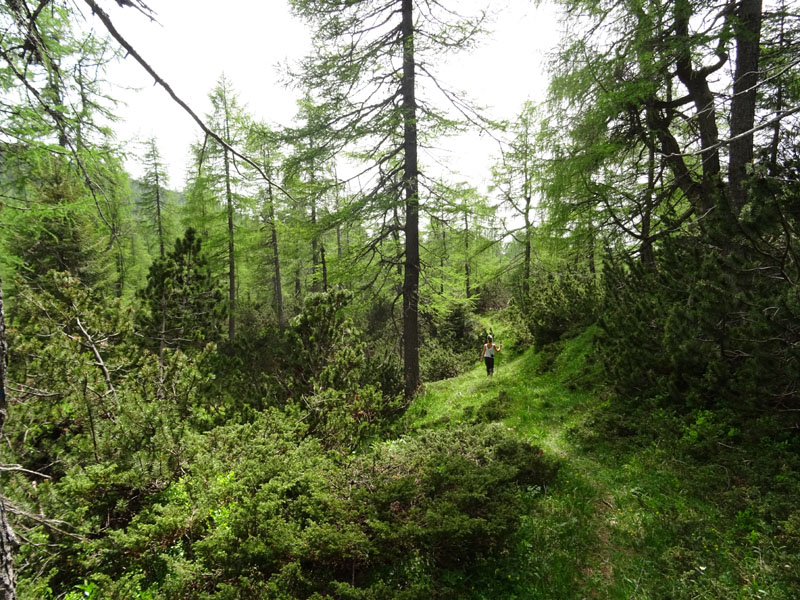 Becco della Ceriola e Cima del Campigolt......Vigolana